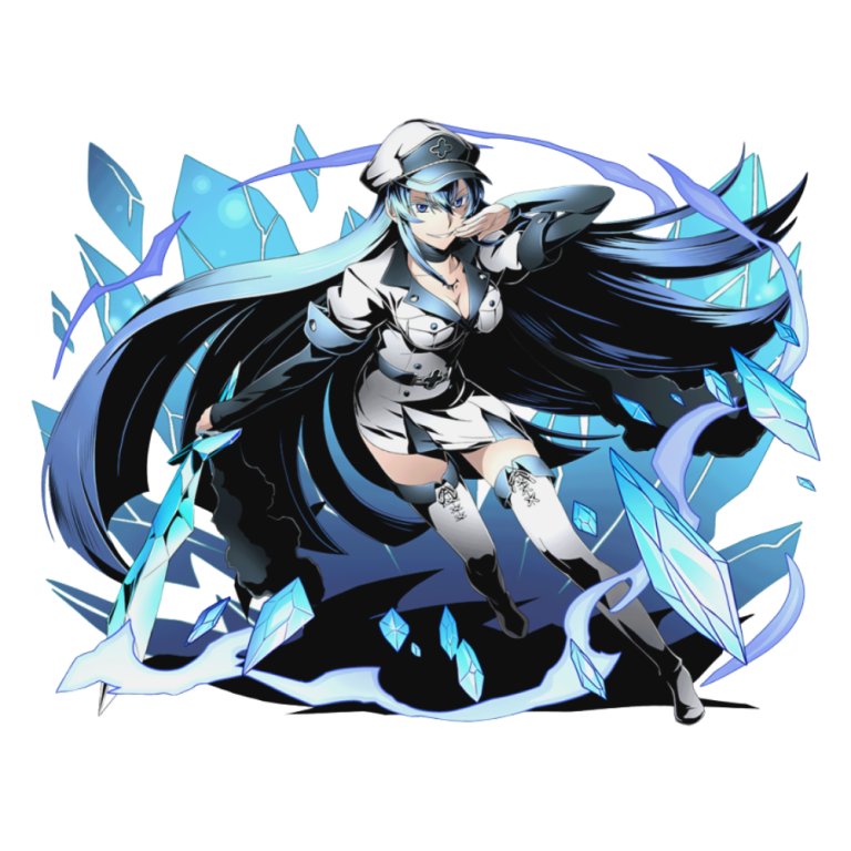 4 - Akame Ga Kill Merch