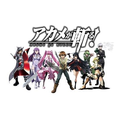 flat750x075f pad750x750f8f8f8 38 - Akame Ga Kill Merch