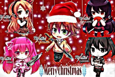 Top 7 Akame Ga Kill Gifts For Christmas 2025 - Akame Ga Kill Merch