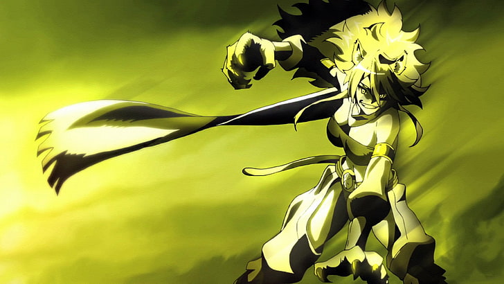 anime akame ga kill leone akame ga kill wallpaper preview - Akame Ga Kill Merch